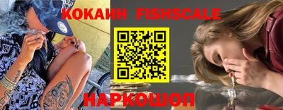 твердый Кингисепп