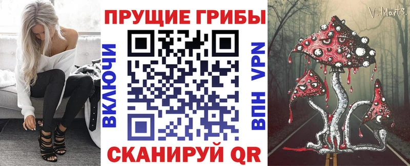 Галлюциногенные грибы прущие грибы  Кызыл 